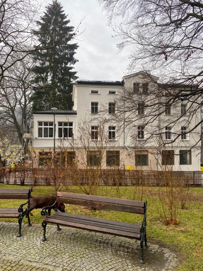 Cienista 7 Apartments Lądek-Zdrój 外观 照片