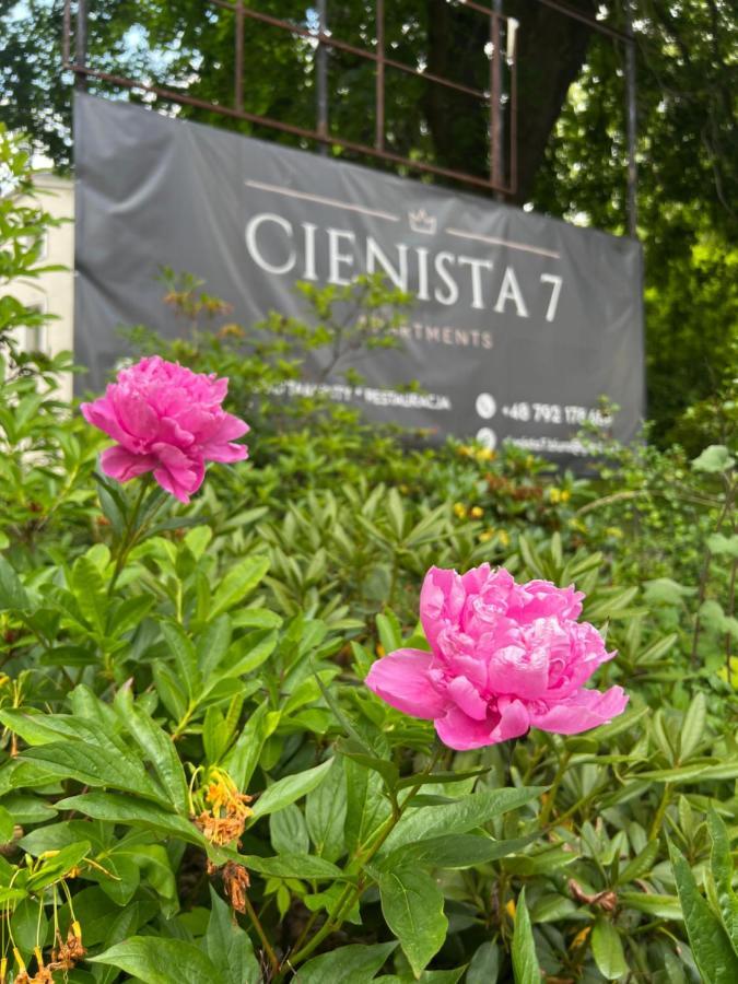 Cienista 7 Apartments Lądek-Zdrój 外观 照片
